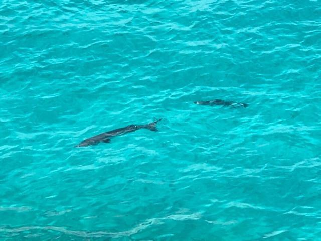 Sommerville Resorts Negril Buitenkant foto